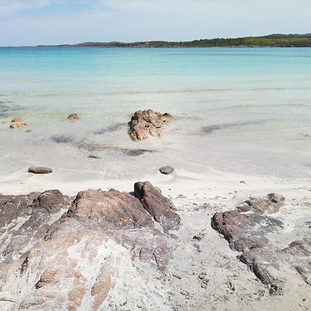 Ampio Trilocale Sul Golfo Di Marinella Vila Marinella  Exterior foto